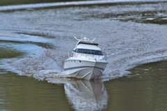 DSC05153 © Peter Taylor 2011