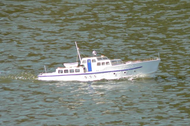 FZ5.06031903  © Peter Taylor 2006