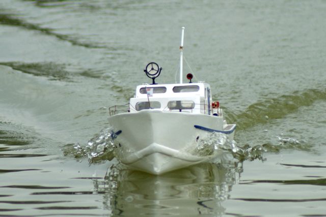 DSC01318 © Peter Taylor 2010