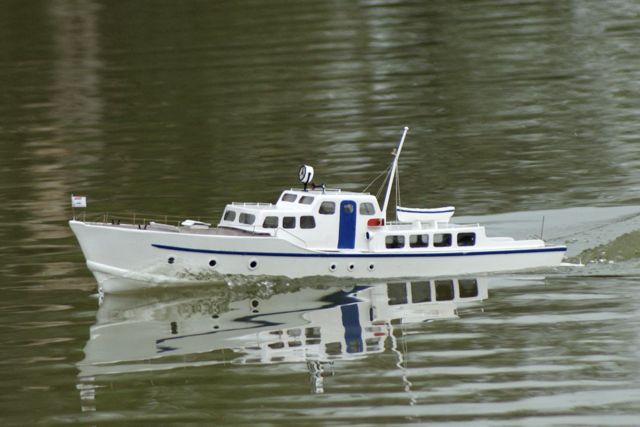 DSC01312 © Peter Taylor 2010