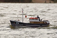 DSC01995 © Peter Taylor 2012
