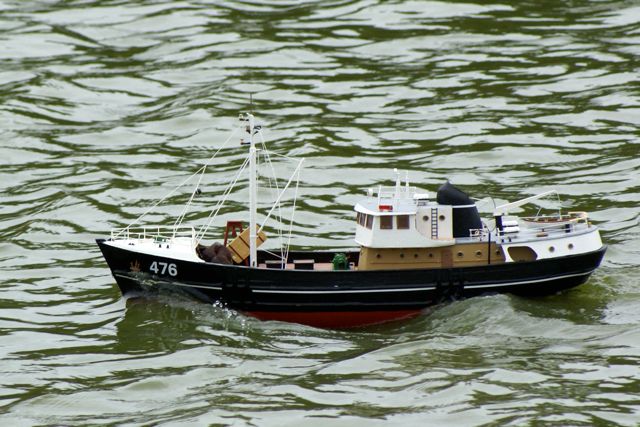 DSC01777 © Peter Taylor 2009