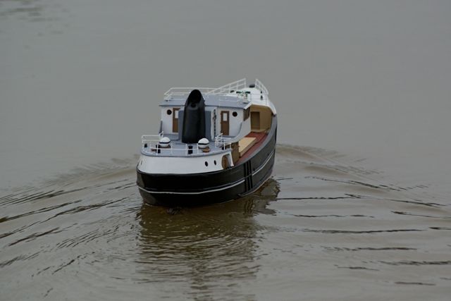 DSC07347 © Peter Taylor 2008