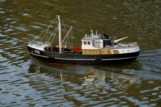 DSC08265 © Peter Taylor 2008