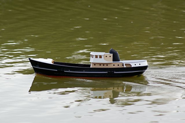 DSC06983 © Peter Taylor 2008