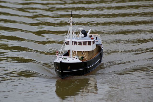 DSC07726 © Peter Taylor 2008