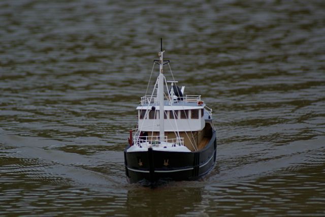 DSC07725 © Peter Taylor 2008