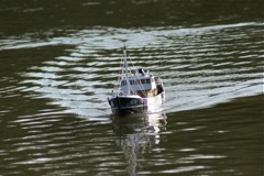 DSC08267 © Peter Taylor 2008