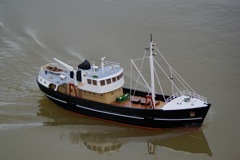 DSC07721 © Peter Taylor 2008