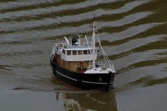 DSC07718 © Peter Taylor 2008