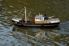 DSC08265 © Peter Taylor 2008