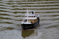 DSC07726 © Peter Taylor 2008