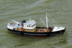 DSC01141 © Peter Taylor 2009