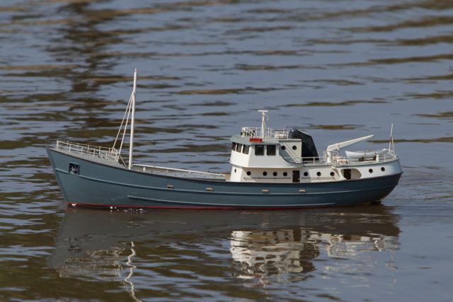 DSC04975 © Peter Taylor 2011