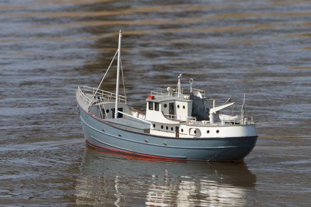 DSC04978 © Peter Taylor 2011
