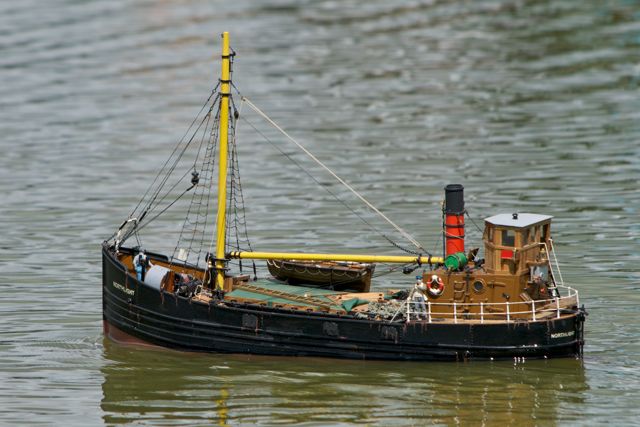 DSC00665 © Peter Taylor 2012