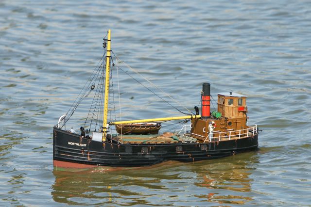 DSC00949 © Peter Taylor 2012
