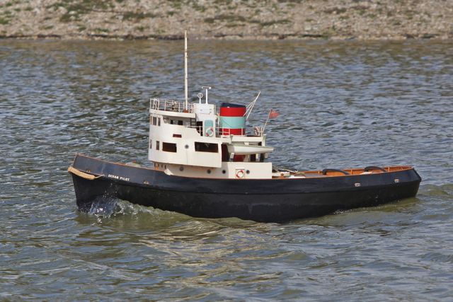 DSC00264 © Peter Taylor 2012