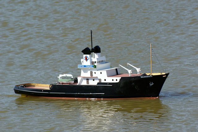 DSC00185 © Peter Taylor 2009