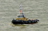 DSC00657 © Peter Taylor 2012