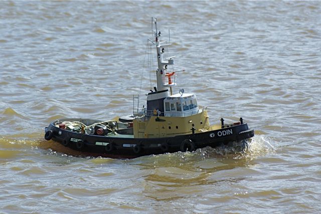 DSC05745 © Peter Taylor 2008
