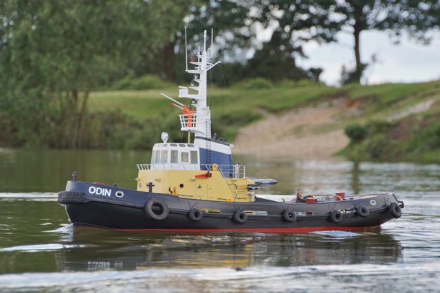 DSC00491 © Peter Taylor 2012