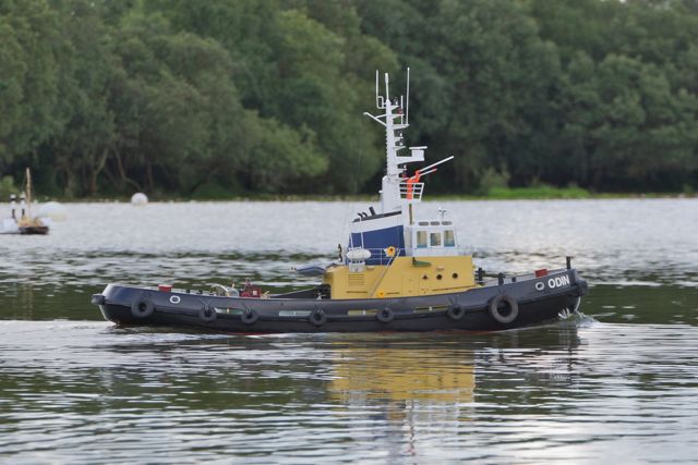 DSC00489 © Peter Taylor 2012