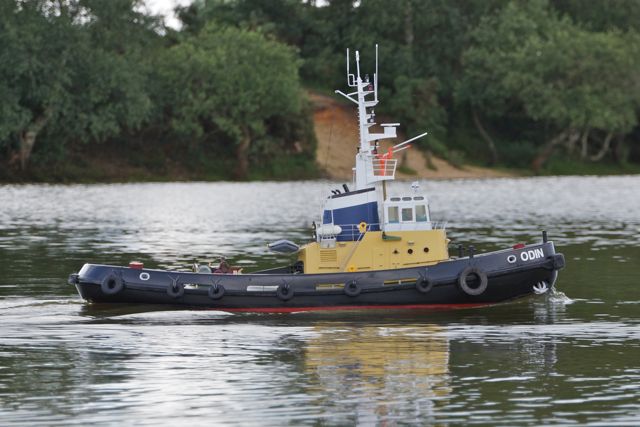DSC00488 © Peter Taylor 2012