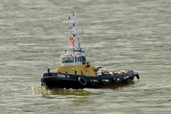 DSC00657 © Peter Taylor 2012