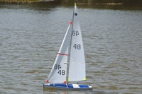 DSC01654 © Peter Taylor 2012