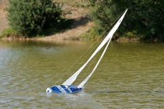 DSC01011 © Peter Taylor 2012
