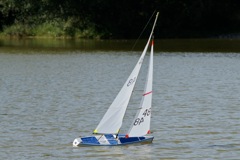 DSC01009 © Peter Taylor 2012