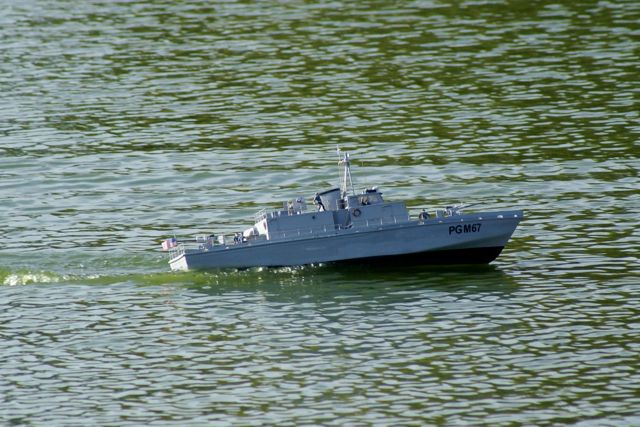 DSC02460 © Peter Taylor 2009