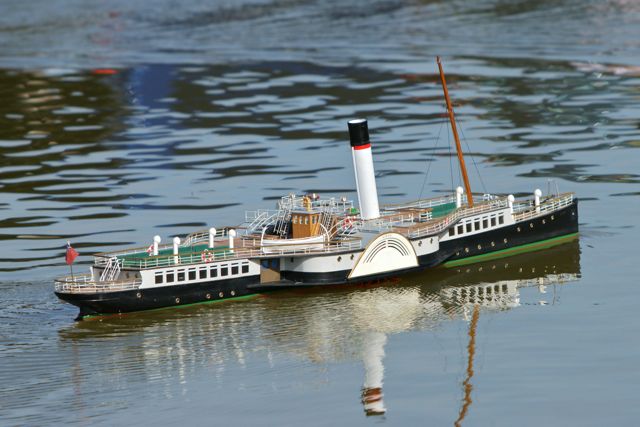 DSC00869 © Peter Taylor 2012