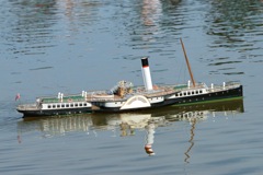 DSC00866 © Peter Taylor 2012
