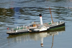 DSC00869 © Peter Taylor 2012