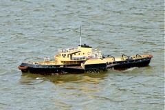DSC02090 © Peter Taylor 2010