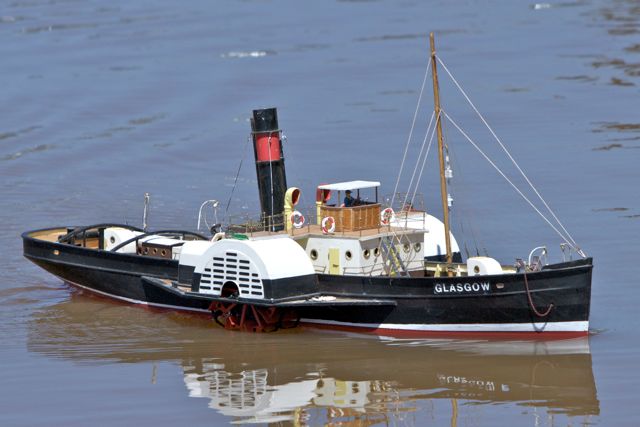 DSC06083 © Peter Taylor 2011