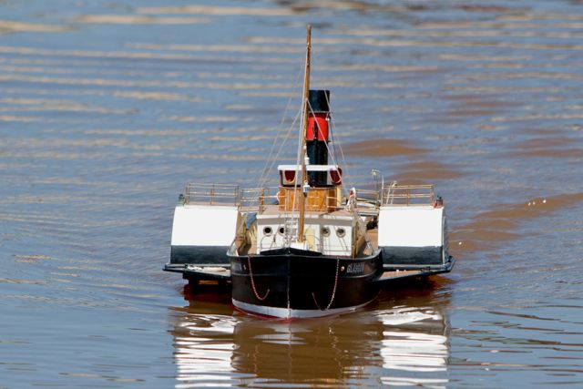 DSC06077 © Peter Taylor 2011