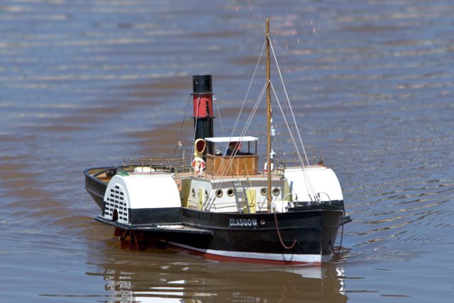 DSC06079 © Peter Taylor 2011