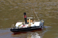 DSC06064 © Peter Taylor 2011