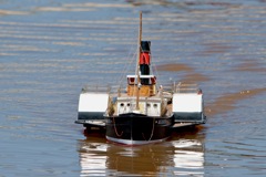 DSC06077 © Peter Taylor 2011