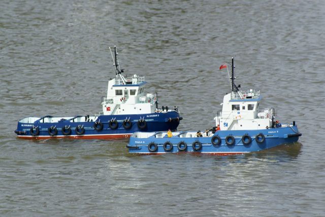 DSC03406 © Peter Taylor 2010
