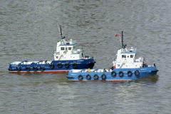 DSC03406 © Peter Taylor 2010