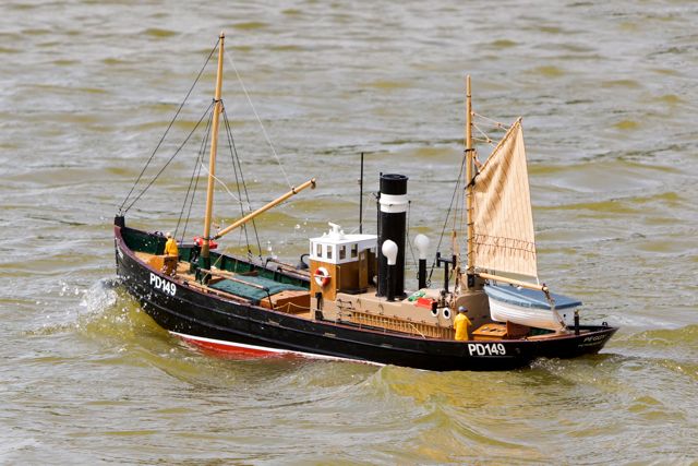 DSC00286 © Peter Taylor 2012