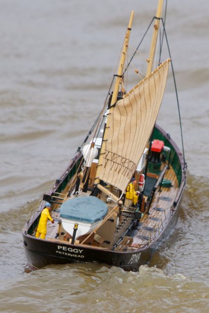 DSC07881 © Peter Taylor 2011