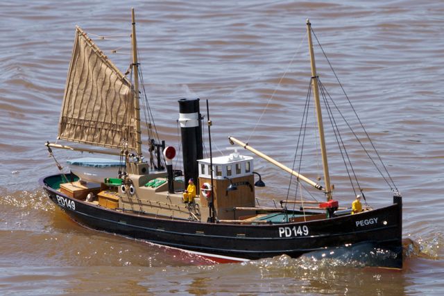 DSC06363 © Peter Taylor 2011