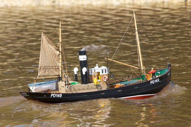 DSC06279 © Peter Taylor 2011