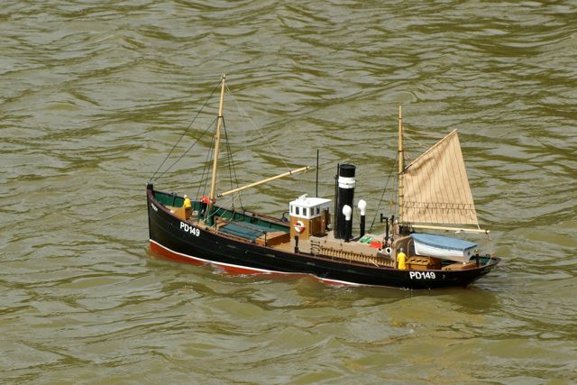 DSC00994 © Peter Taylor 2009