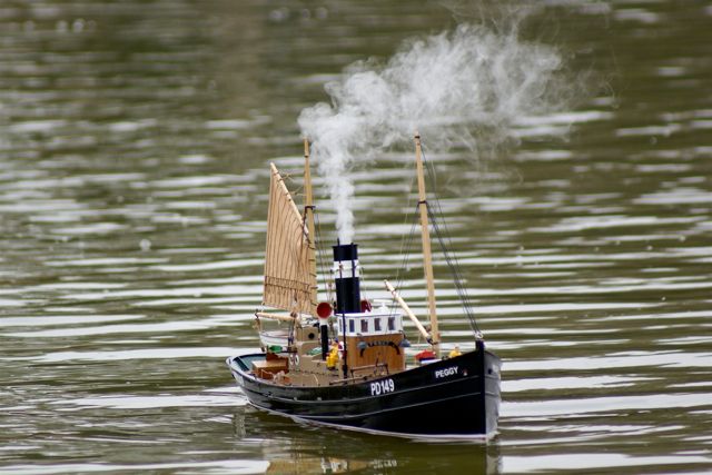 DSC03454 © Peter Taylor 2007